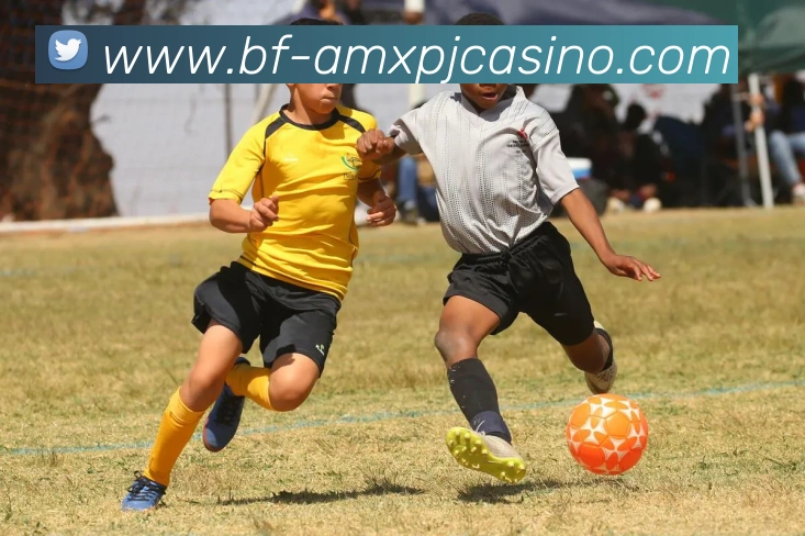 澳门新葡京娱乐服务体系